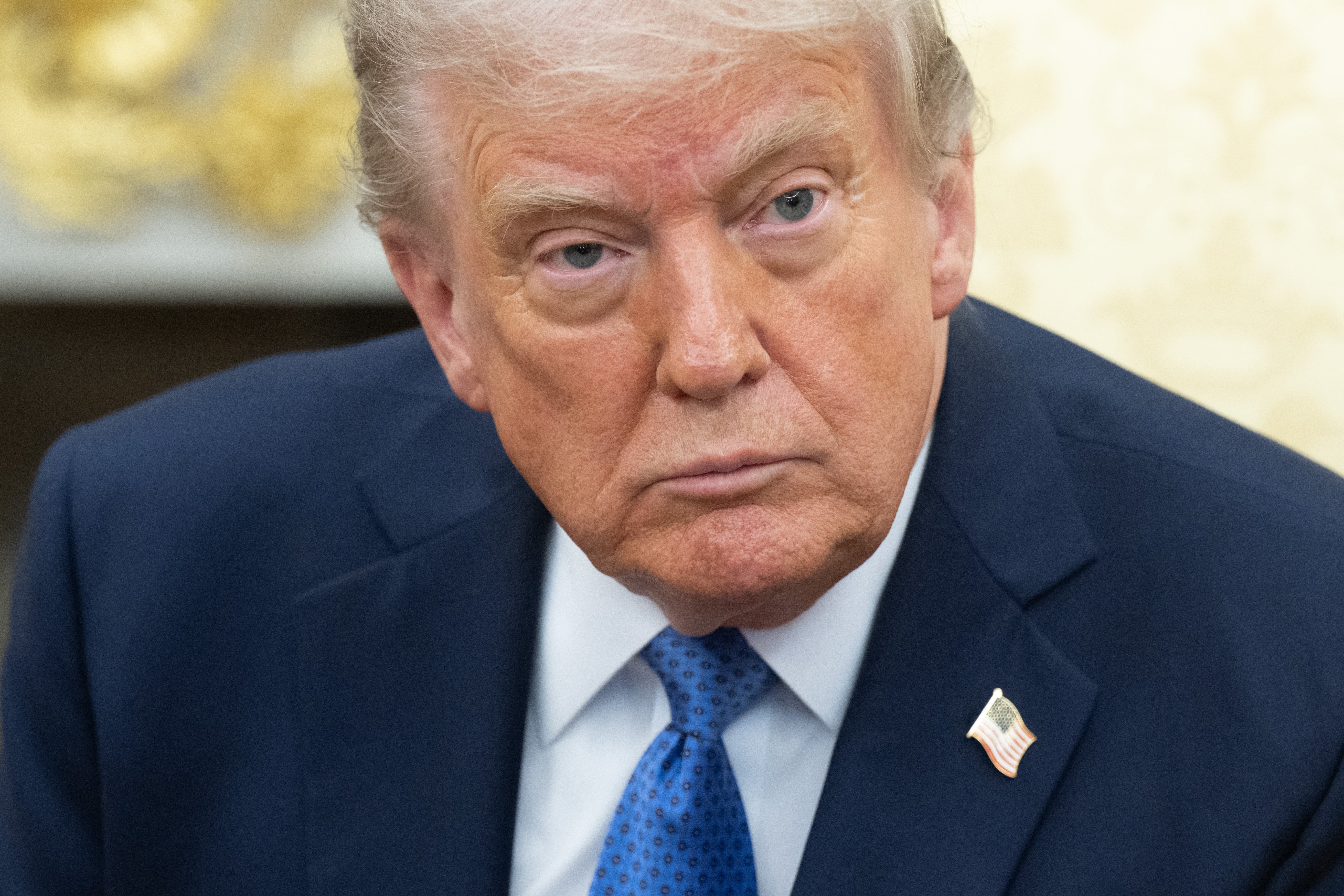 Tri savezna sudaca 24. travnja privremeno su blokirali Trumpovu administraciju da zamrzava sredstva nad gradovima DEI i 'svetište', kao i odredba izvršnog naloga o izbornoj upravi koja bi zahtijevala dokaz o državljanstvu da se registrira za glasovanje