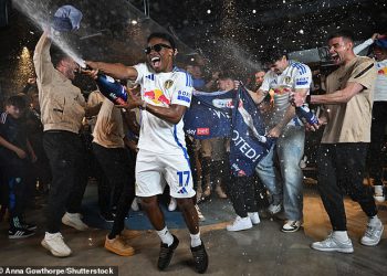 Unutar povratka Leeds Uniteda u ‘Obećano zemljište’ – i što će učiniti sljedeće: Četiri ciljeva za potpisivanje ljetnih potpisivanja i najnovije o planovima za proširenje Elland Road