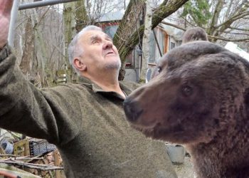 VIDEO Brine se o medvjedima već 20 godina, njihova povezanost je nevjerojatna