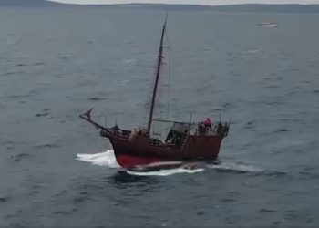 VIDEO Pogledajte karaku kako “tuče” jugo