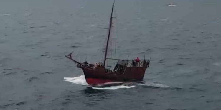 VIDEO Pogledajte karaku kako “tuče” jugo