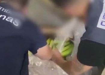 VIDEO Razbijena europska narkomreža