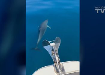 VIDEO Turisti kraj Šolte snimili kadrove za pamćenje