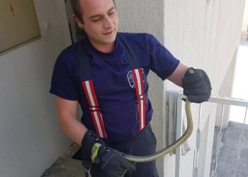 Vatrogasci uklonili zmiju iz Gajeve ulice u Splitu