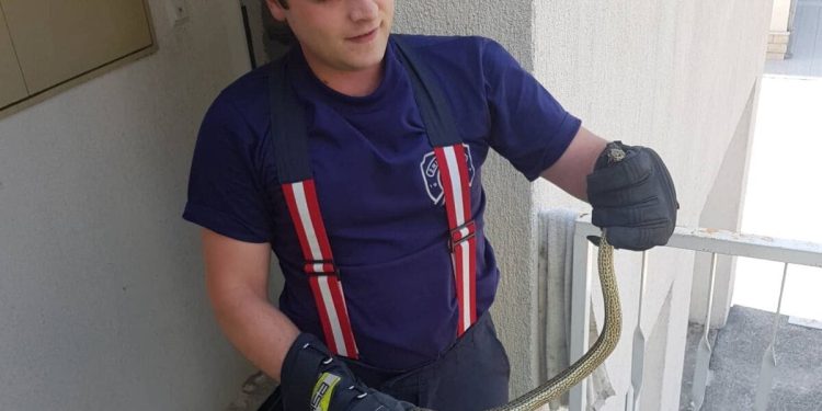 Vatrogasci uklonili zmiju iz Gajeve ulice u Splitu