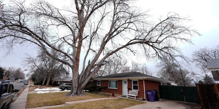 Vlasnik pogrebnog doma koji je sakrio žensko leš u Hearseu i zadržao ostale kremirane ostaje da se mole kriv
