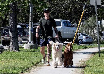 Weezer basista izdaje bizarnu izjavu nekoliko sati nakon što su policajci ustrijelili ženu “pokušaja ubojice”