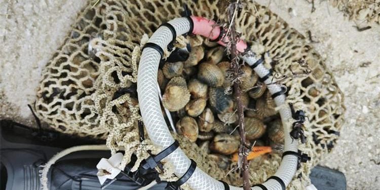 ZATEČEN KAKO VADI DONDOLE IZ MORA Krivolovcu iz Istre prijeti kazna do 6.630 eura, a oduzeta mu je i oprema!