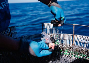 Za plutajući parangal ove godine autorizirano samo 9 plovila