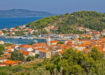 Zadarska županija dopustila lov na ovu divljač na otocima do istrebljenja