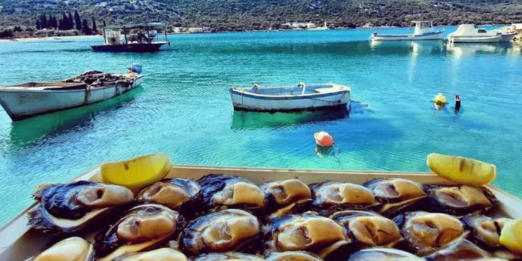 Zanimljivo predavanje u Splitu – saznajte kako kamenice mogu pomoći u očuvanju Jadranskog mora