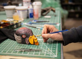 Zašto ovaj američki zoološki vrt hrani bebinu supu ručnom lutkama