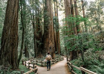 Zašto se bitcoin stabilan ili čak raste kako zalihe padaju