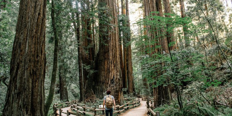 Zašto se bitcoin stabilan ili čak raste kako zalihe padaju