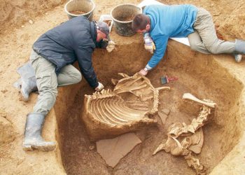 za što su im služile brojne jame?