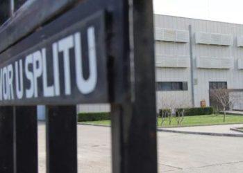 STANJE NA BILICAMA JE ALARMANTNO One su posvuda – u madracima, u posteljini, u štokovima: ‘A mogu izazvati i anafilaktički šok!’