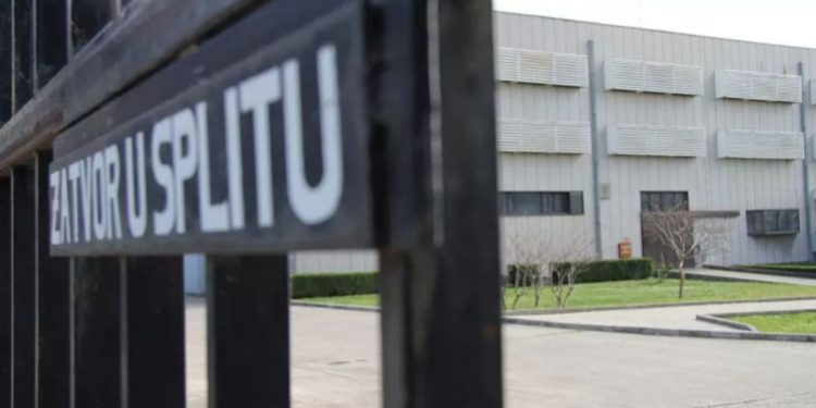 STANJE NA BILICAMA JE ALARMANTNO One su posvuda – u madracima, u posteljini, u štokovima: ‘A mogu izazvati i anafilaktički šok!’