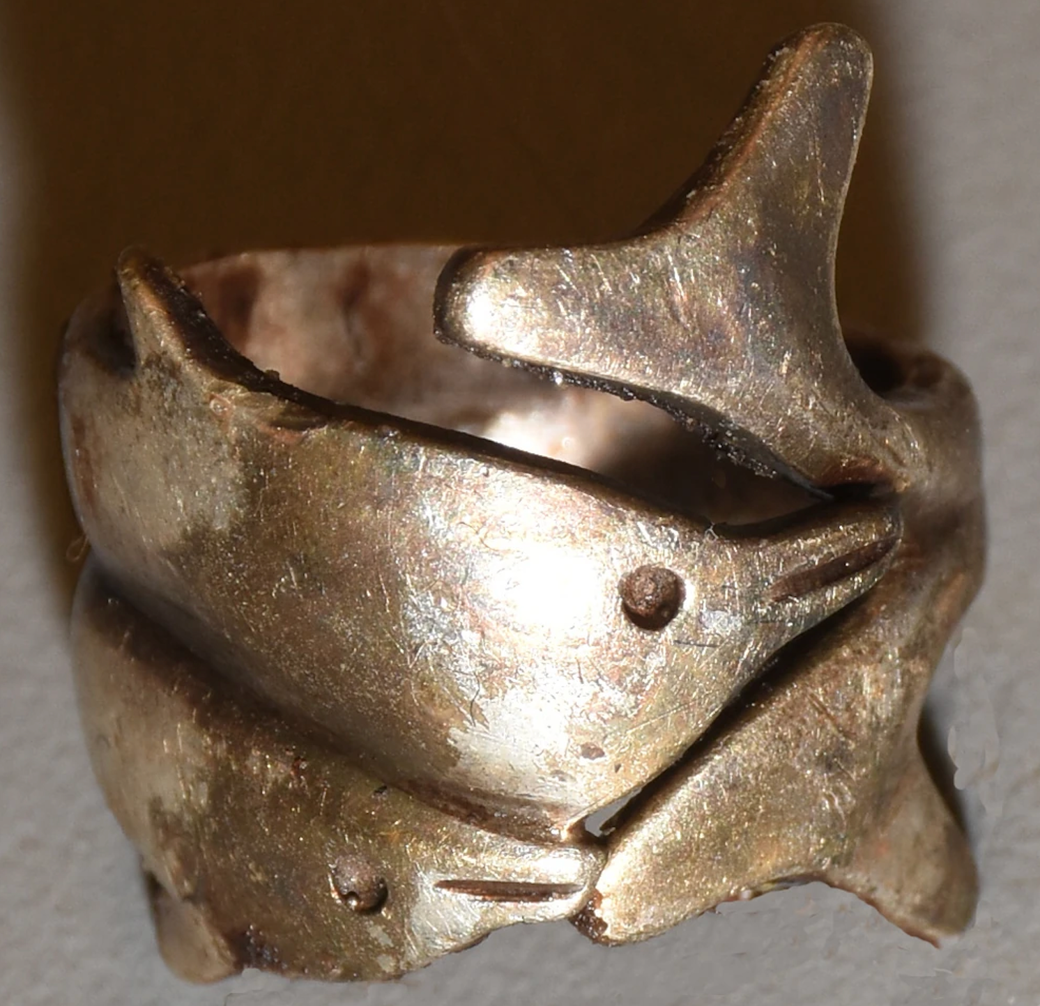 Žena je također pronađena s bijelim metalnim prstenom s dizajnom dupina ili porpoise