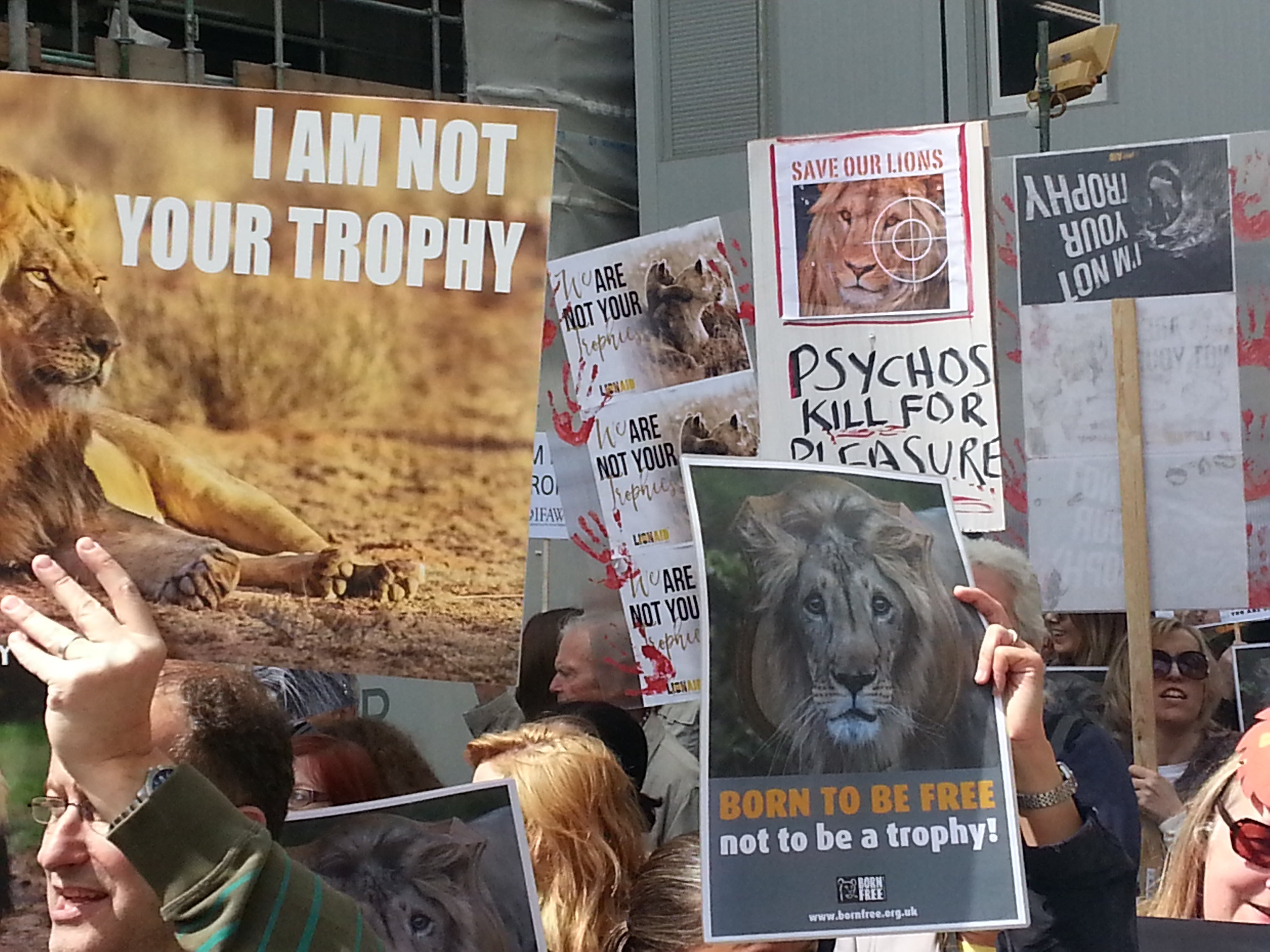 Prosvjedi su ustupili nagovarajući prošle vlade da usvoje zabranu