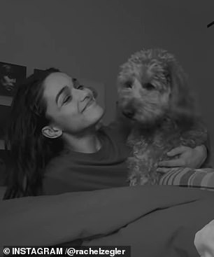 Jedan slajd bio je crno -bijeli video isječak koji prikazuje štene kako joj liže lice