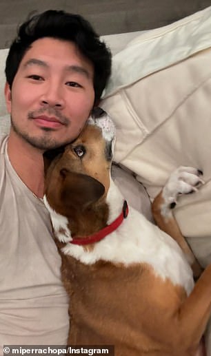 Liu i hsu imaju jedno krzno dijete u svom životu, chopa