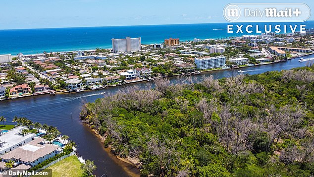 Boca Raton i obližnja Palm Beach mogu se pohvaliti nekim od najsjajnijih restorana i trgovina Sunshine State -a