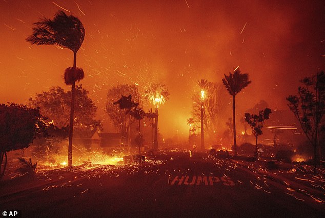 Residents in LA are unhappy at the cost of the Olympic Games as they rebuild from the wildfires