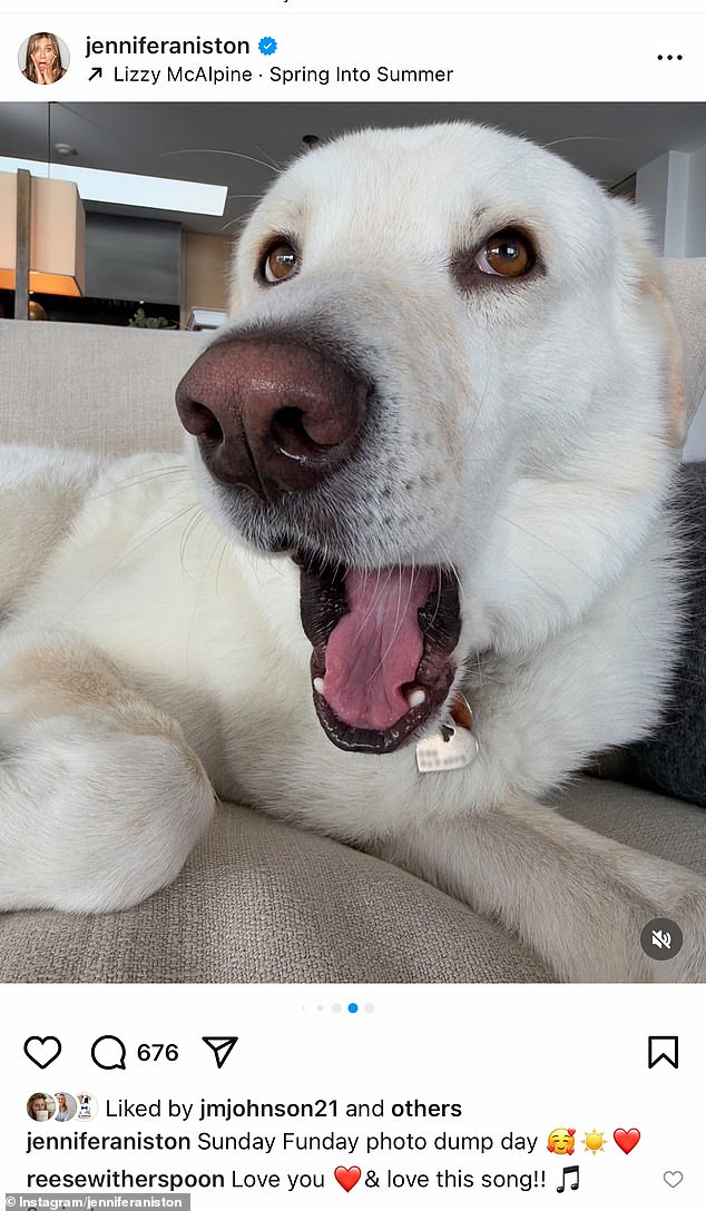 Glumica, 56, dijelila je nedjeljni zabavni dan za zabavu ☀️❤️ na Instagramu, kada je slučajno otkrila svoje kontakt podatke na ovoj fotografiji, koja je brzo izbrisana