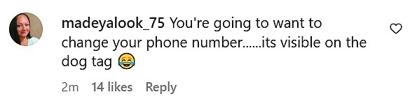 Sljedbenici sljedbenika zvijezde prijatelja, koji je bio žrtva stalkera koji je uletio na njezino imanje, brzo su ukazali na problem