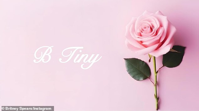 16. svibnja, odvjetnik 43-godišnjeg pobjednika Grammyja Peter Nussbaum podnio je zahtjev za zaštitni znak u američkom uredu za patente i zaštitne znakove za svoj prvi brend nakita, B. Tiny