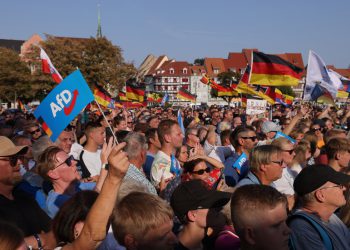 AfD je ‘ekstremistički’ – njemačka Intel agencija – RT World News