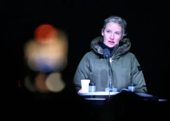 AfD tuži njemačku tajnu službu jer ih je proglasila ekstremno desnom organizacijom