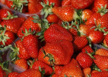 Agronom upozorava: ‘Jagode često sadrže pesticide povezane s rakom, ali postoje načini kako ih možete jesti bez rizika’