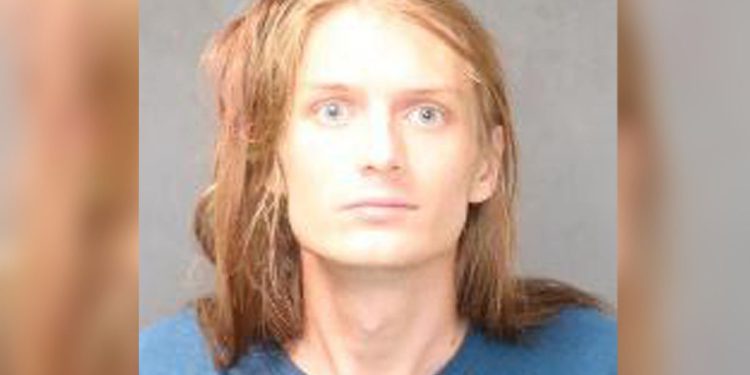 Aspirajući reper, 24 godine, prorezana djevojka, 8, s bocom piva jer je ona bila “na putu”, kaže policija