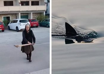 Baka na rivi u Tisnom ostima lovila hobotnicu, a onda se pojavio morski pas