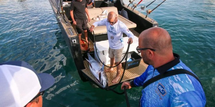 Big game u Orebiću: Pero Šare i Bowa uhvatili kapitalca, pogledajte koliko je teška trofejna tuna!