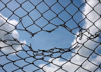 Bitcoin Traders Breaking Break -a na vrhunke, jer Trump kaže da tarifne ponude napreduju