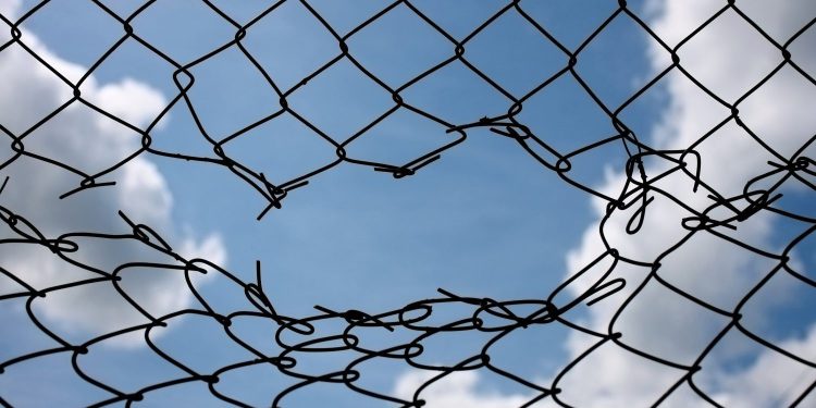 Bitcoin Traders Breaking Break -a na vrhunke, jer Trump kaže da tarifne ponude napreduju