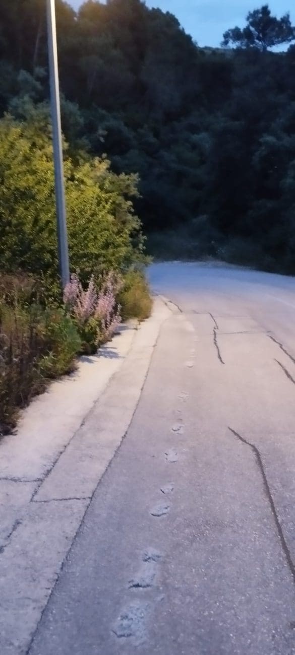 CIOVO 1