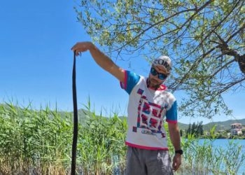 Čovjek u Pločama uhvatio ogromnu zmiju, veća je od njega