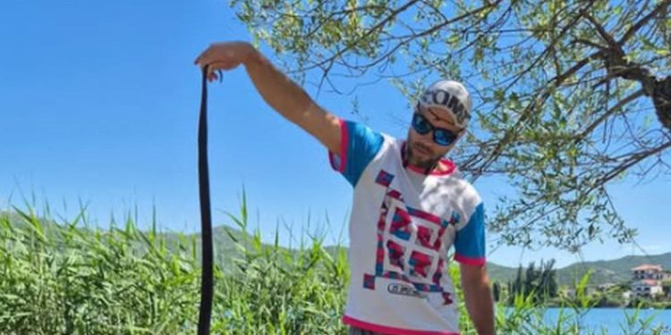 Čovjek u Pločama uhvatio ogromnu zmiju, veća je od njega