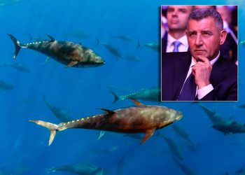 Davanje koncesije za uzgoj tuna tvrtki od Gotovine, umjesto Šibensko-kninske županije preuzela Plenkovićeva Vlada
