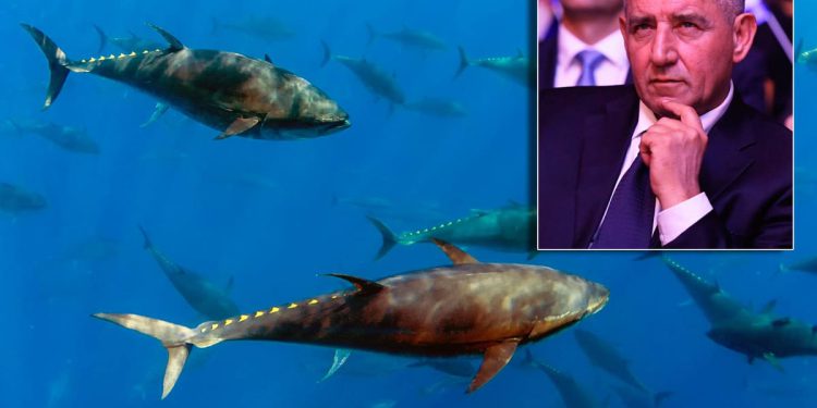 Davanje koncesije za uzgoj tuna tvrtki od Gotovine, umjesto Šibensko-kninske županije preuzela Plenkovićeva Vlada