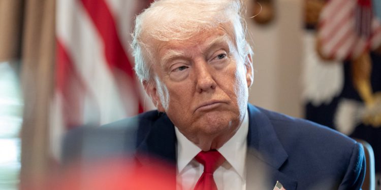 Dave Portnoy ne kupuje Trumpove napore da se odvrati od odgovornosti za svoje loše brojke BDP -a