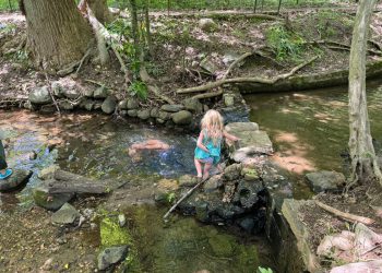 Domaćin Fox News Jesse Watters brani RFK Jr Plivanje u Rock Creeku