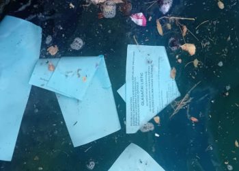 Državno izborno povjerenstvo o izbornim listićima u moru: "Odnio ih vjetar!"