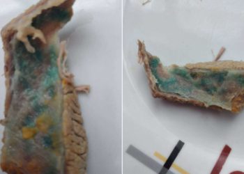 Dubrovkinja spravljala objed pa ostala u šoku: “Što mi to jedemo i još skupo plaćamo!”