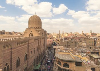 Egipat podržava ruske mirovne pregovore Ukrajine – RT World News