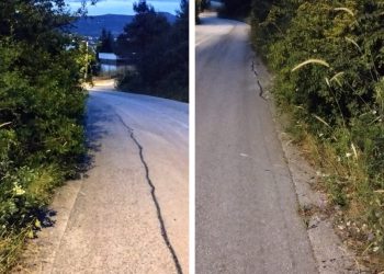 FOTO Neodržavana vegetacija ugrožava vozače