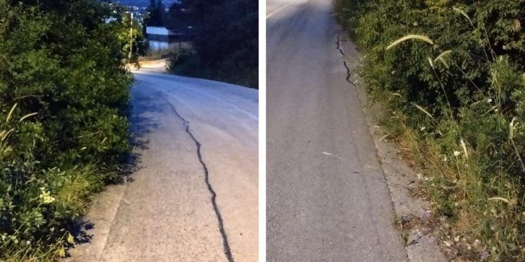 FOTO Neodržavana vegetacija ugrožava vozače